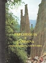 Parcheggia E Cammina Guida Dei Sentieri In Valle Di Cembra