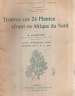 Trouvez Ces 24 Plantes Vivant En Afrique Du Nord