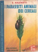 I Parassiti Animali Dei Cereali