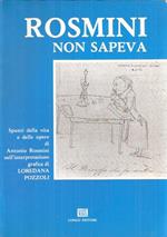 Rosmini Non Sapeva Spunti Della Vita E Delle Opere Di Antonio Rosmini Nell'interpretazione Grafica Di Loredana Pozzoli