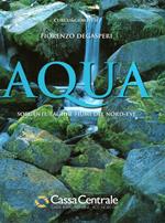 Aqua Sorgenti, Laghi E Fiumi Del Nord-Est