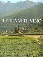 Terra Vite Vino Cantina Sociale Di Ala 1959-2009