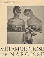 Métamorphose de Narcisse