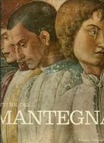 Pitture del Mantegna