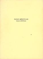 Plinio Mesciulam. Piani e pittura