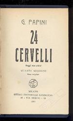 24 cervelli. Saggi non critici