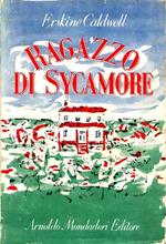 Ragazzo di Sycamore