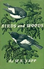 Birds and woods