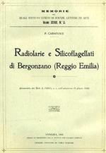 Radiolarie e Silicoflagellati di Bergonzano. ( Reggio Emilia )