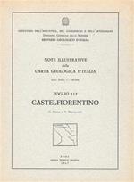 Castelfiorentino. foglio 113