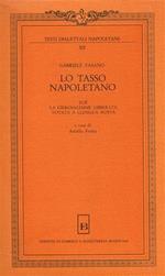 Lo Tasso napoletano. Zoé, La Gierosalemme libberata, votata a llengua nosta