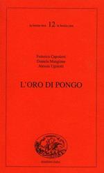 L' oro di pongo. Studi su romanzi e scritture del Novecento italiano