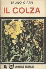 Il Colza