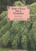 Erbe e felci per il giardino