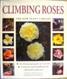 Climbing roses