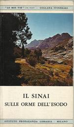 Sinai. Sulle orme dell'Esodo