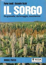 Il Sorgo. Da Granella, Da Foraggio, Zuccherino. Manuale Pratico