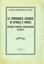 Le comunanze agrarie di Spinale e Manez: vicende storiche, consuetudini, statuti