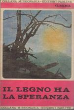 Il legno ha la speranza: esperienze missionarie 1949-1954