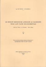 Le ofioliti mesozoiche associate ai calcescisti negli alti Tauri sud-occidentali (Valli di Vizze e di Fundres. Alto Adige)