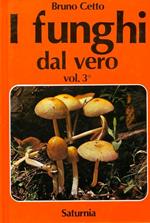 I funghi dal vero. 912 funghi considerati, 416 specie illustrate a colori da fotocolor originali e trattate in ordine sistematico