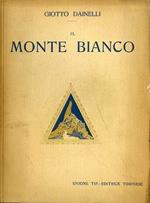 Il Monte Bianco: (ai piedi del gigante)