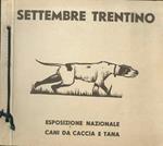 Settembre trentino: Anno XIII, esposizione nazionale cani da caccia e tana