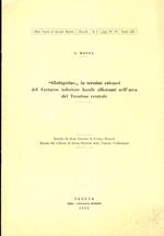 Globigerine in termini calcarei del Cretaceo basale affioranti nell’area del Trentino Centrale. Estratto originale da studi trentini di scienze naturali. A. XL. N. 2