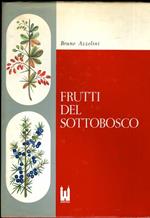 Frutti del sottobosco: morfologia di piante fruttifere. Acquarelli dal vero di Pia Belli