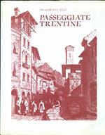 Passeggiate trentine: lezioni popolari sui monumenti principali della città di Trento. Parte prima: monumenti entro la cinta romana