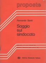 Saggio sul sindacato. Proposte: materiali per lo studio e il dibattito tra lavoratori, studenti e militanti sindacali: A. VI - N. 80 (15 dicembre 1979)