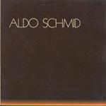 Aldo Schmid. Trento, Palazzo delle Albere, maggio-giugno 1980