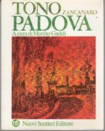 Padova. A cura di Manlio Gaddi