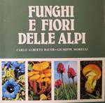 Funghi e fiori delle Alpi