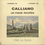 Calliano: un paese ricorda: per la pace