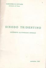 Sinodo tridentino: contributo all’itinerario sinodale