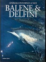 Balene e delfini. Animali intorno a noi