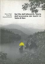 Sul filo dell’Ottocento: storia dell’economia dei bachi in Valle di Non