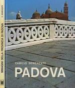 Immagini della provincia di Padova - Padova: arte e storia