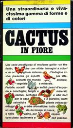 Cactus in fiore