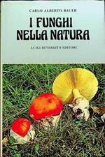 I funghi nella natura