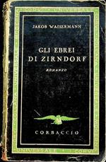 Gli ebrei di Zirndorf: romanzo