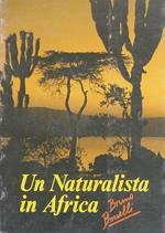 Un naturalista in Africa: dalla Val di Fiemme alla terra dei Sidamo