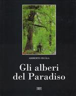 Gli alberi del Paradiso