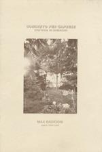 Max Radicioni: concerto per Caprese: sinfonia di immagini