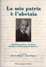 La mia patria è l’abetaia: antologia poetica e narrativa dell’opera di Bartolomeo Del Pero. A cura di Alberto Delpero e Anna Panizza