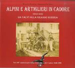 Alpini e artiglieri in Cadore, 1848-1915: da Calvi alla grande guerra: nel 150. anniversario della eroica difesa del Cadore, 1848-1998