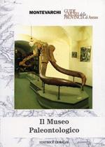 Il museo paleontologico di Montevarchi