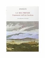 La mia Firenze. Frammenti dell'età favolosa