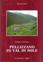 Pellizzano in Val di Sole: guida turistica